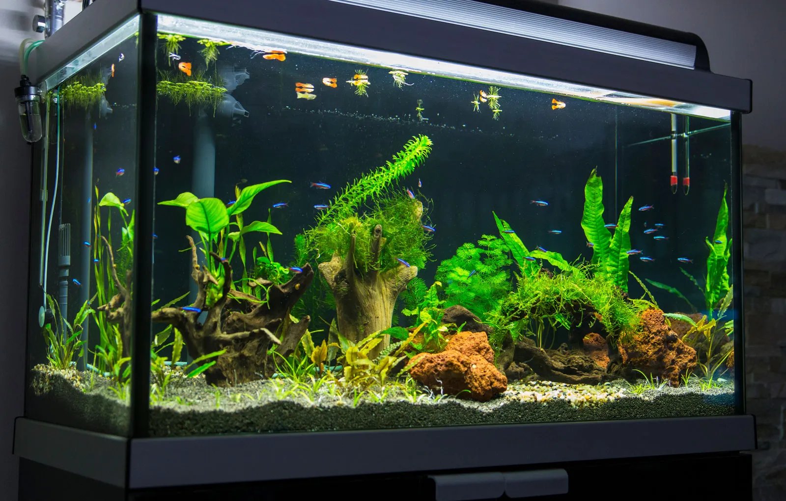 Aquarium Tank 1*1.5 feet