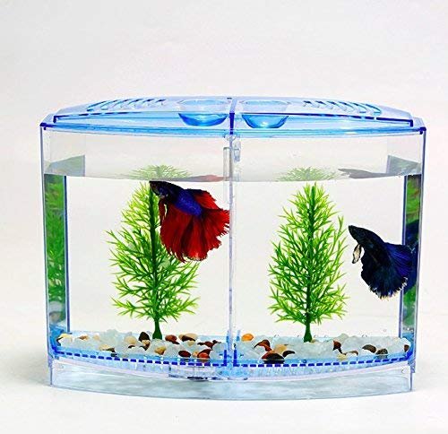 Taiyo Plastic Betta Tank (Double) for Fish  [ live fish available ]